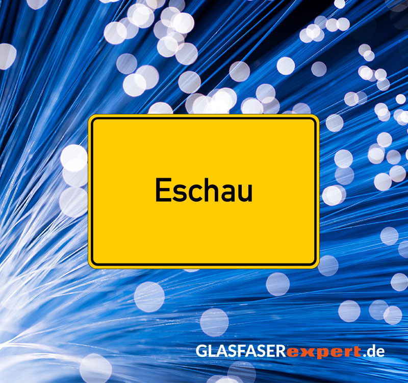 Glasfaser in Eschau