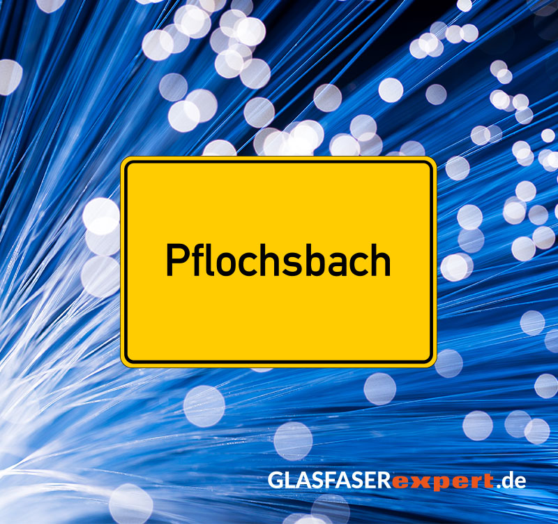 Glasfaser in Pflochsbach